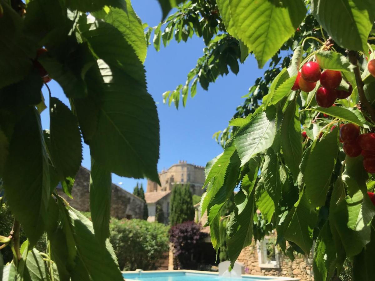 Les Aiguieres En Provence Bed & Breakfast Suze-la-Rousse Eksteriør bilde