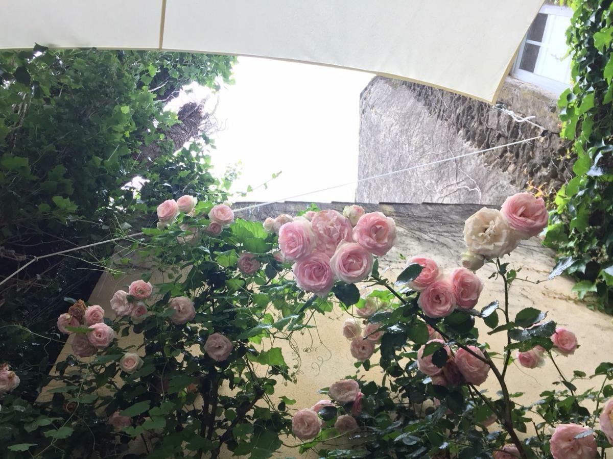 Les Aiguieres En Provence Bed & Breakfast Suze-la-Rousse Eksteriør bilde